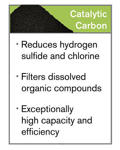 Catalytic Carbon