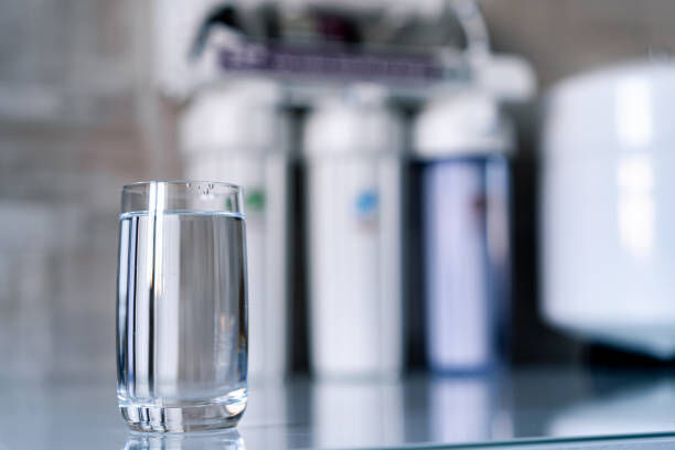 Home Water Treatment In Tampa FL: Know Whats In Your Water